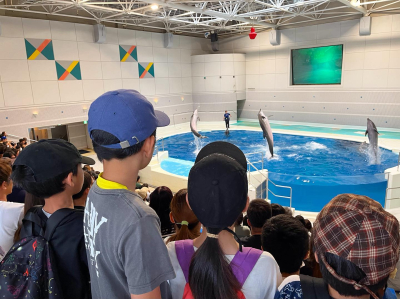 課外活動『かごしま水族館』